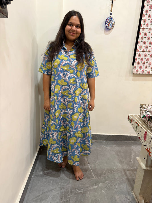 Neelkamal Shirt Dress