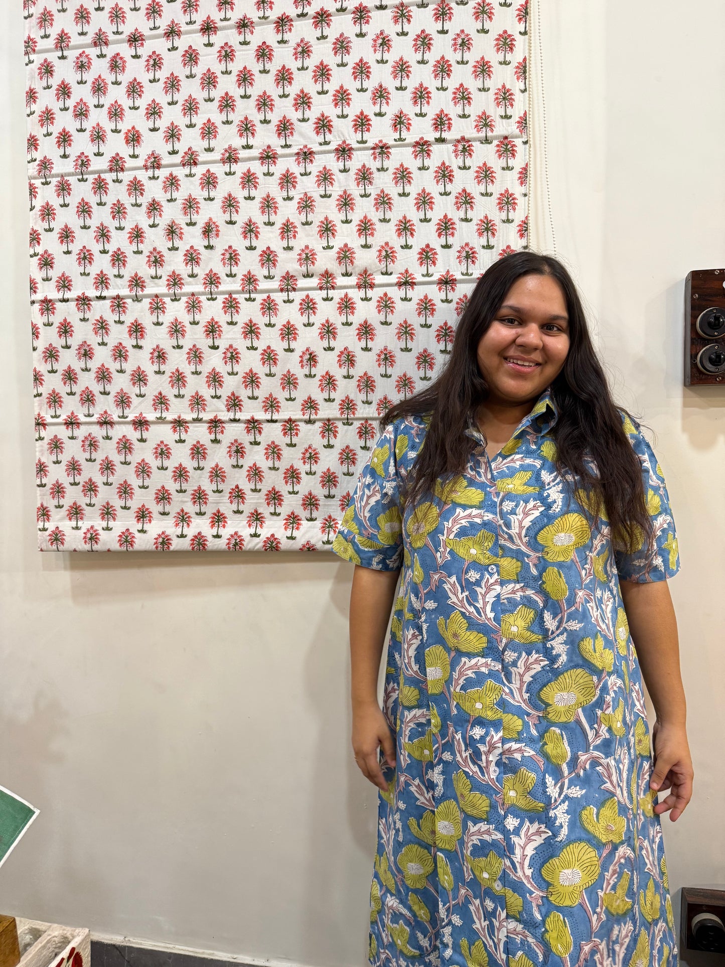 Neelkamal Shirt Dress